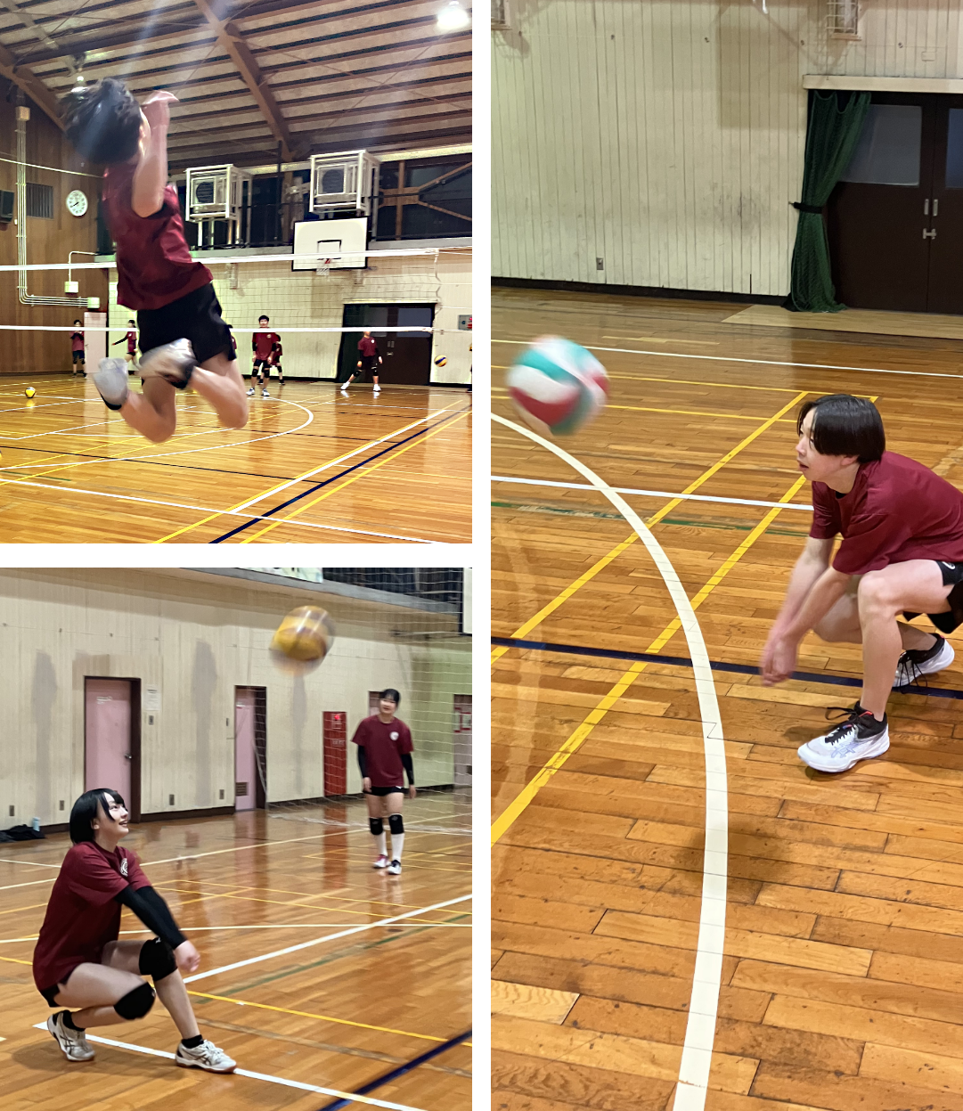 pallavolo_volleyball_club